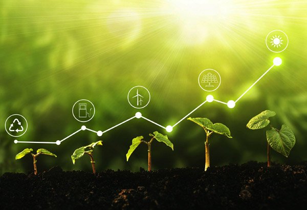 Responsible Investments, Products and Expenditures