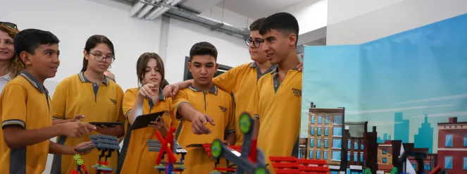 Gönüllü Yolculuğum